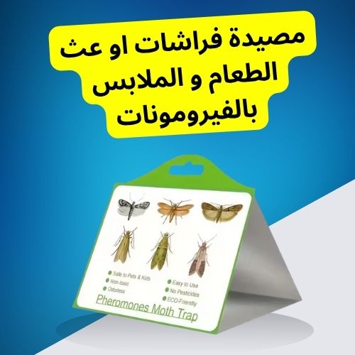 مصيدة فراشات الغذاء بالفيرومونات – حماية فعّالة وآمنة للمواد الغذائية  piège à mites alimentaires à phéromones